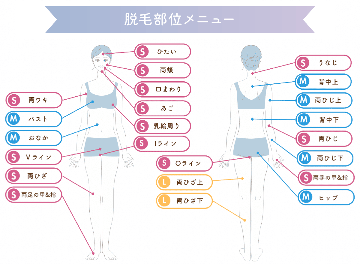 部位別脱毛メニュー